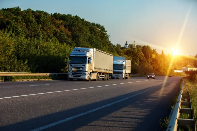 packing and moving services in india